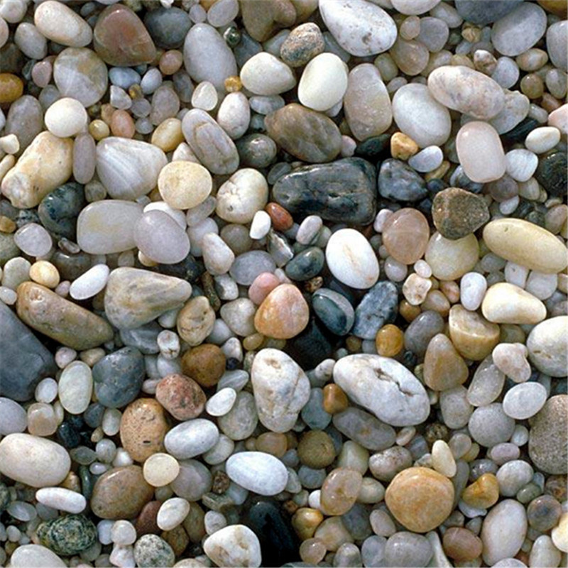 香蕉视频一直看一直爽